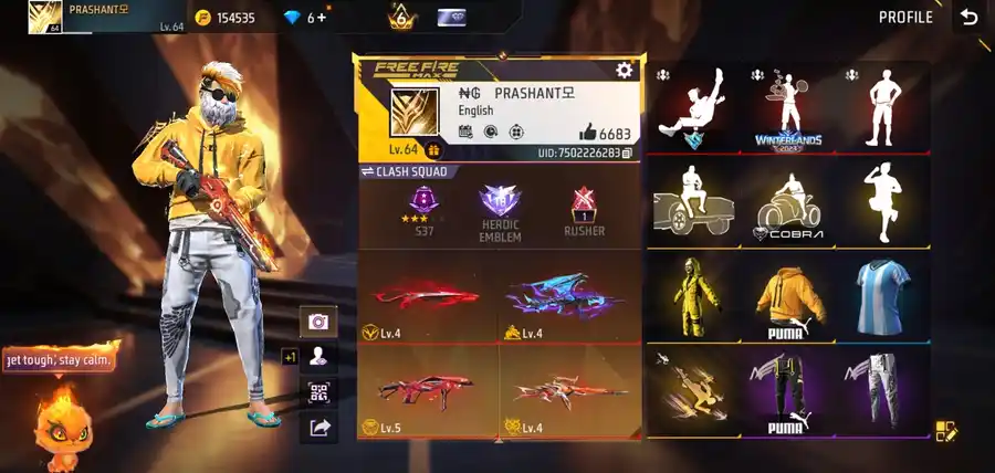 Free Fire account