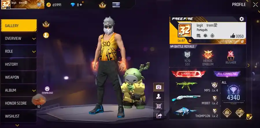 Free Fire account