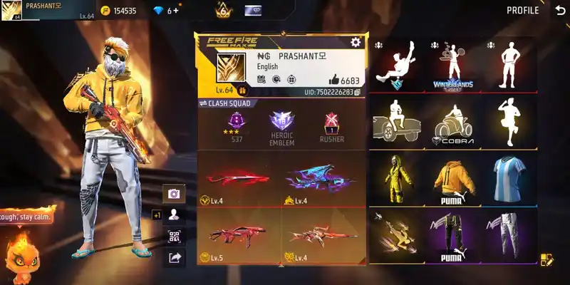 Free Fire account